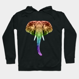 Rainbow Elephant Hoodie